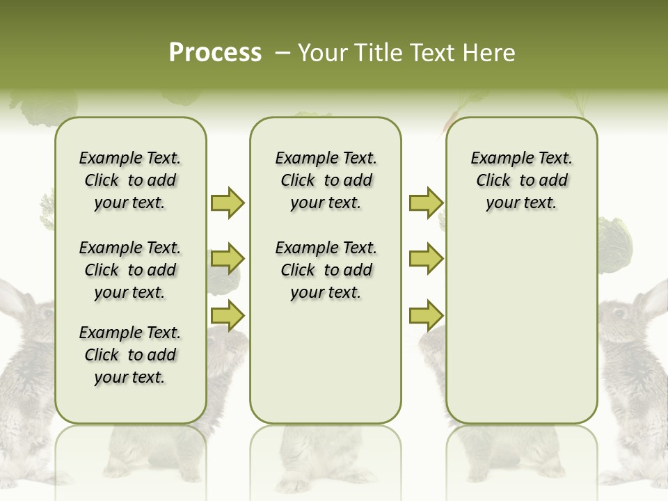 Rabbit PowerPoint Template