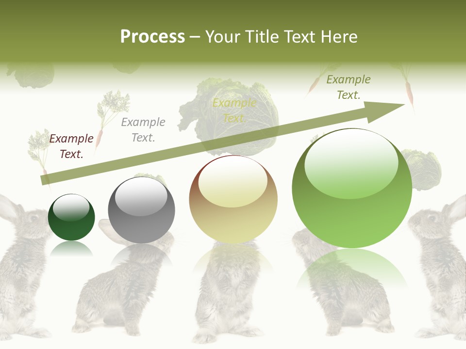 Rabbit PowerPoint Template