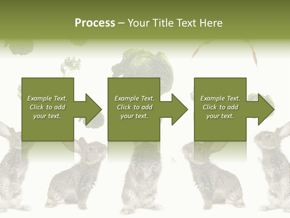 Rabbit PowerPoint Template