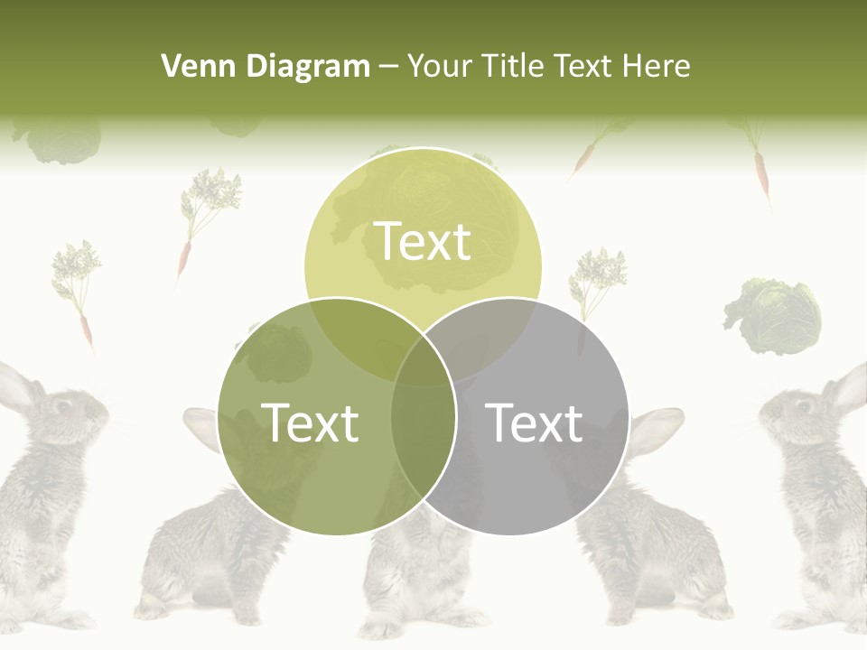 Rabbit PowerPoint Template