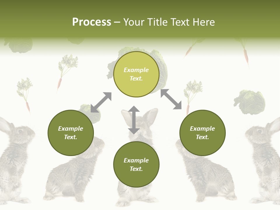 Rabbit PowerPoint Template