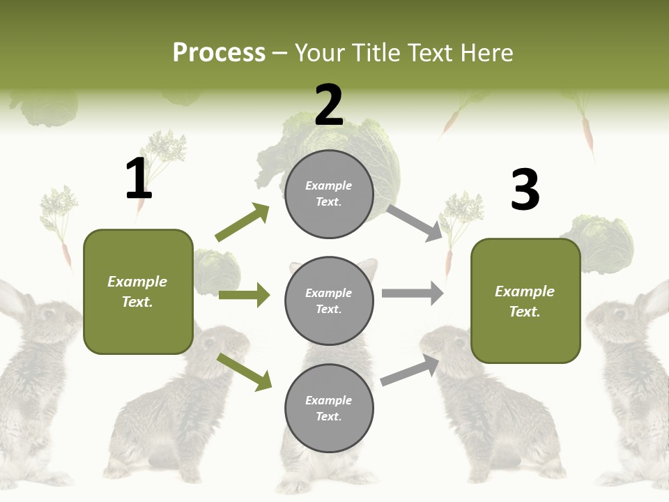 Rabbit PowerPoint Template