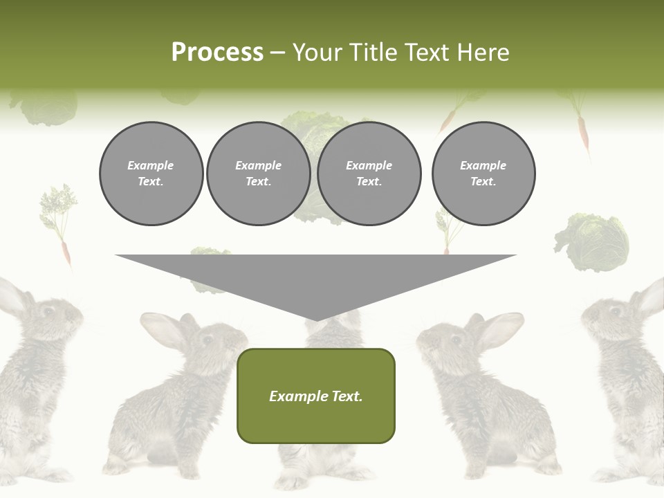 Rabbit PowerPoint Template