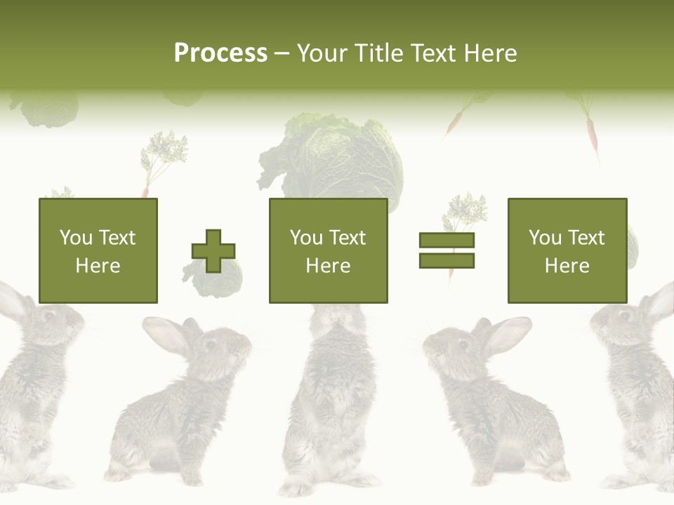 Rabbit PowerPoint Template