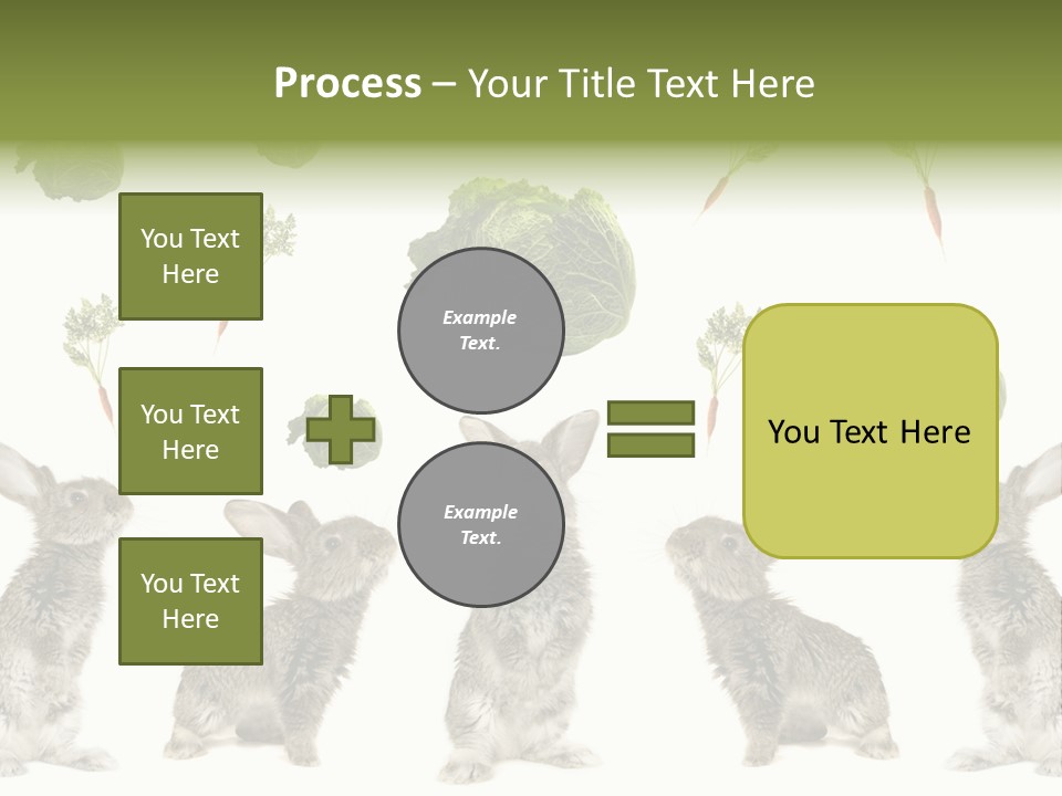 Rabbit PowerPoint Template