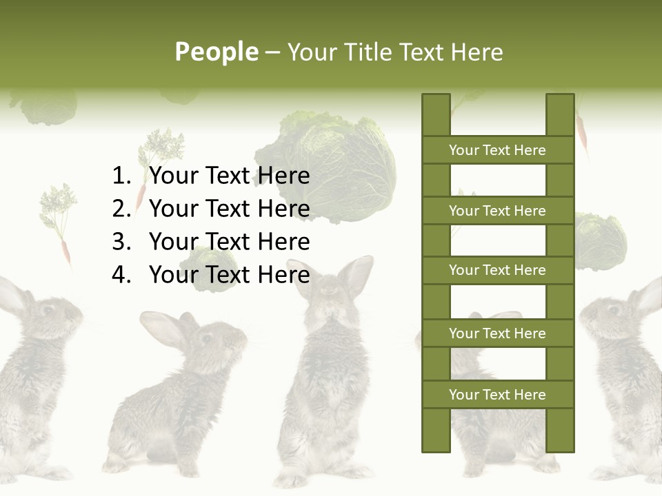 Rabbit PowerPoint Template