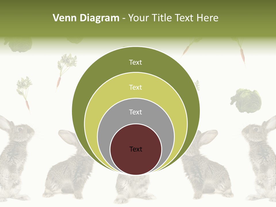 Rabbit PowerPoint Template
