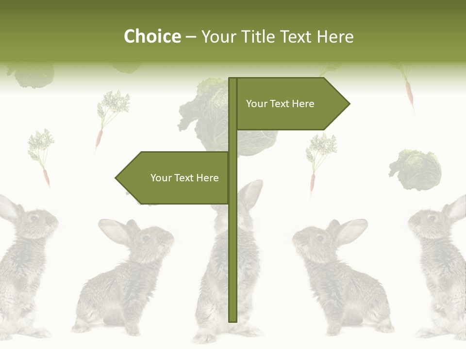 Rabbit PowerPoint Template