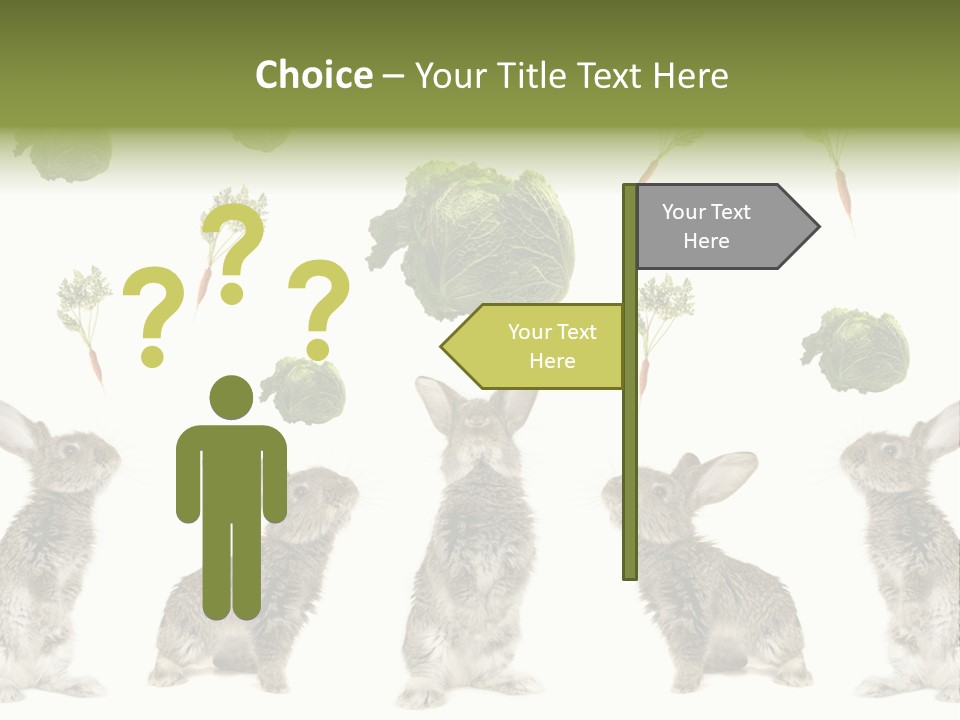Rabbit PowerPoint Template