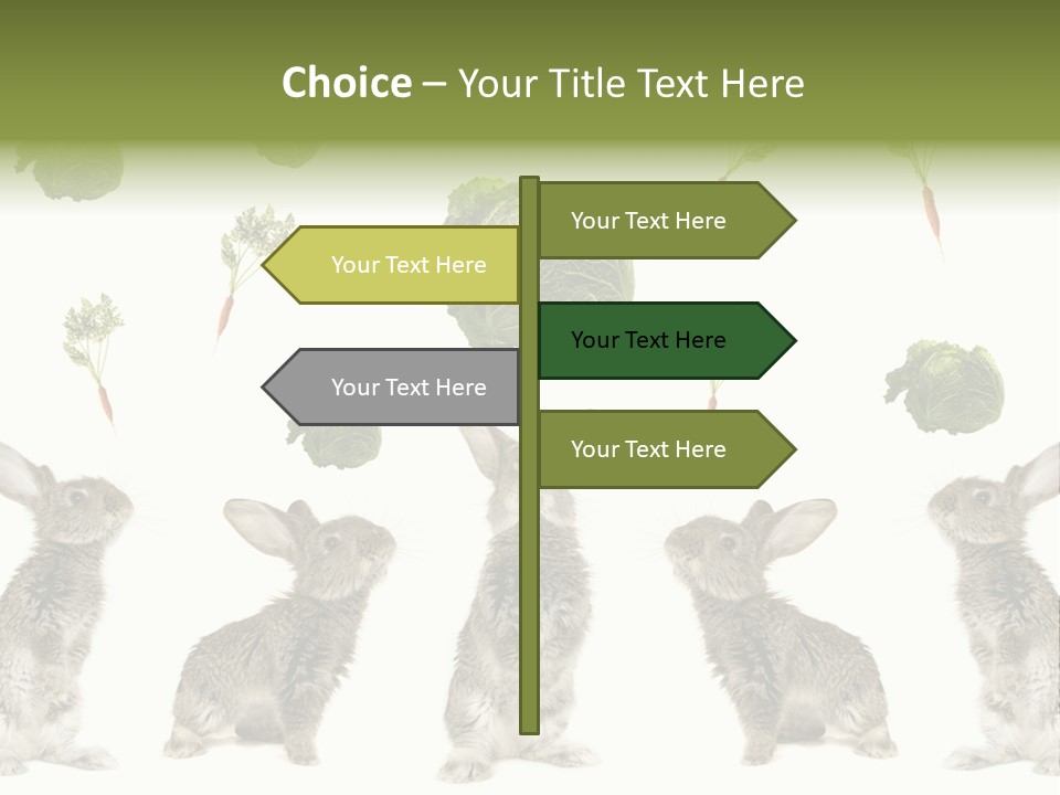 Rabbit PowerPoint Template