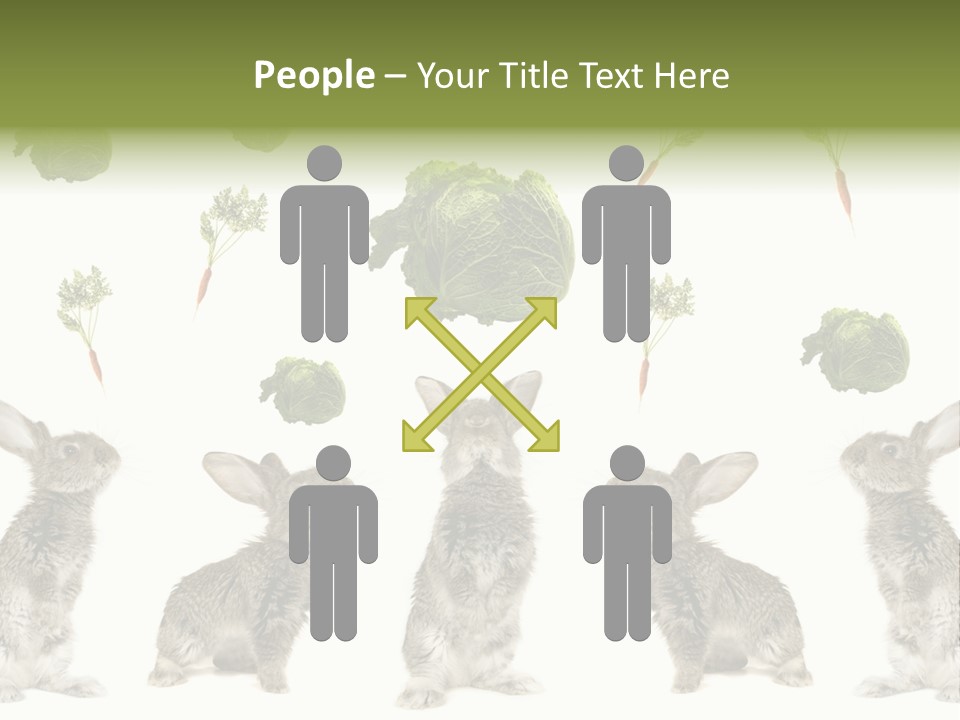 Rabbit PowerPoint Template