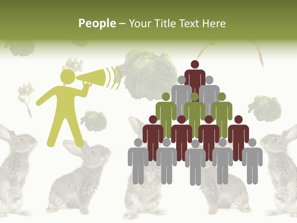 Rabbit PowerPoint Template