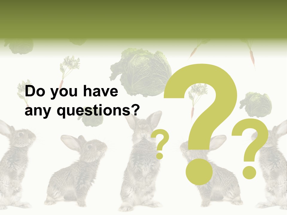 Rabbit PowerPoint Template