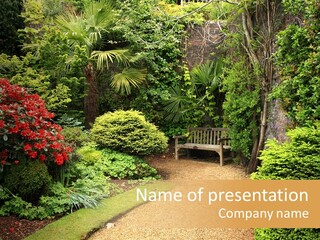 Lovely Garden PowerPoint Template