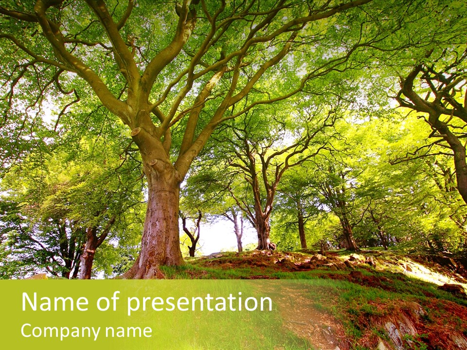 Beautiful Spring PowerPoint Template