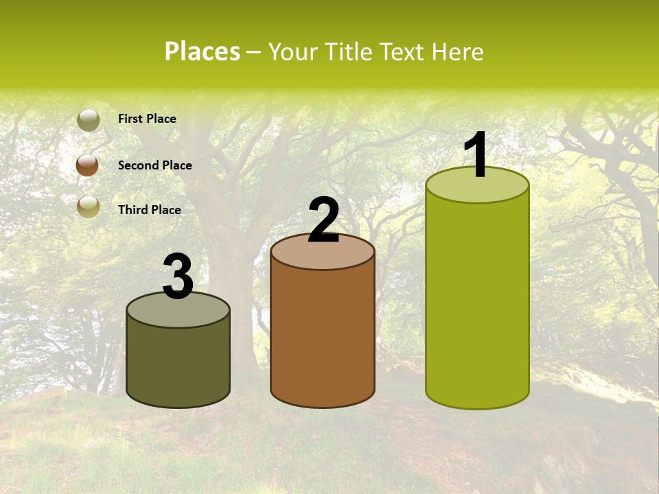 Beautiful Spring PowerPoint Template