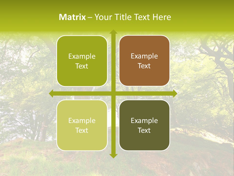 Beautiful Spring PowerPoint Template