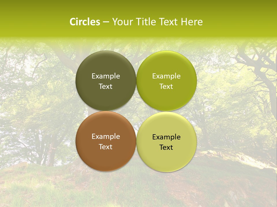 Beautiful Spring PowerPoint Template