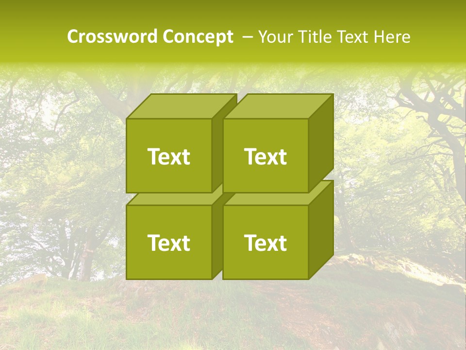Beautiful Spring PowerPoint Template
