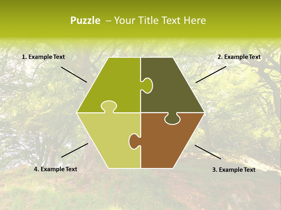 Beautiful Spring PowerPoint Template