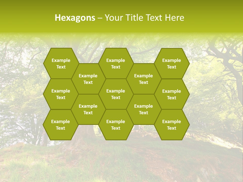 Beautiful Spring PowerPoint Template