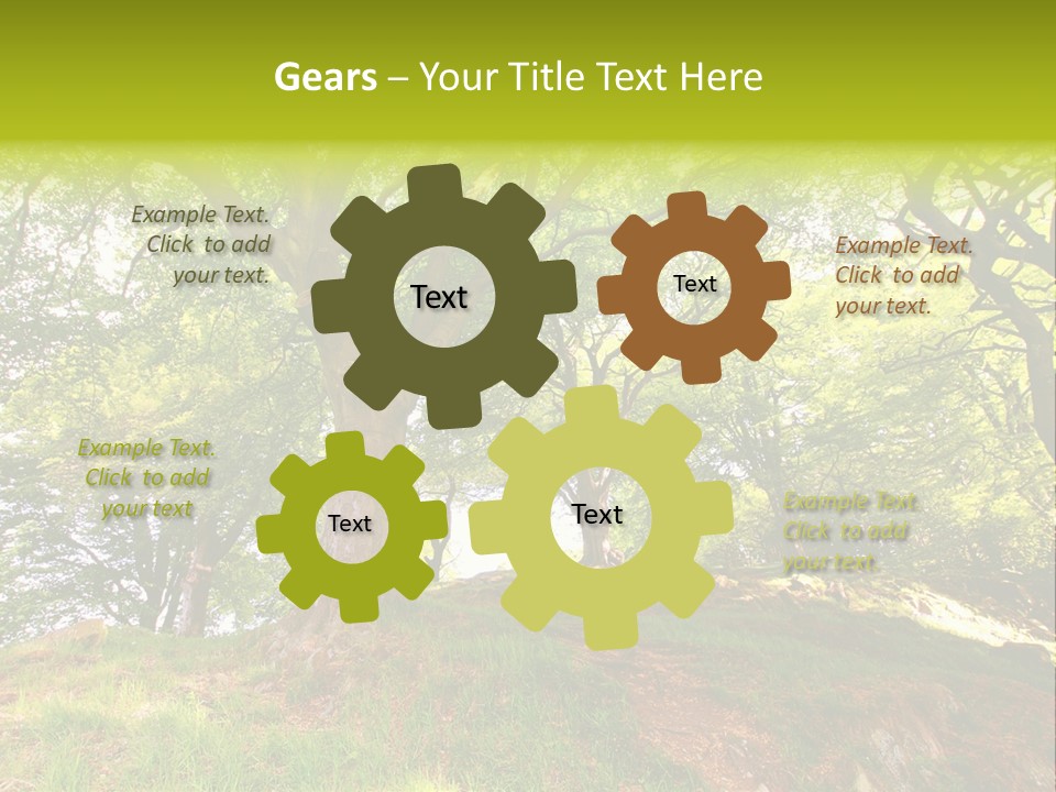 Beautiful Spring PowerPoint Template