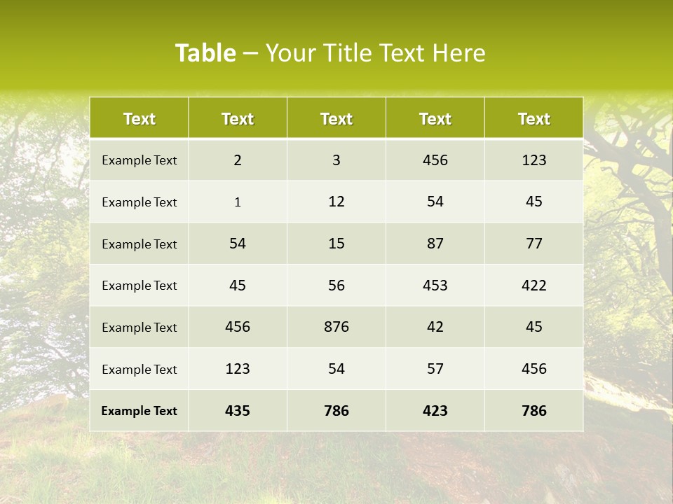 Beautiful Spring PowerPoint Template