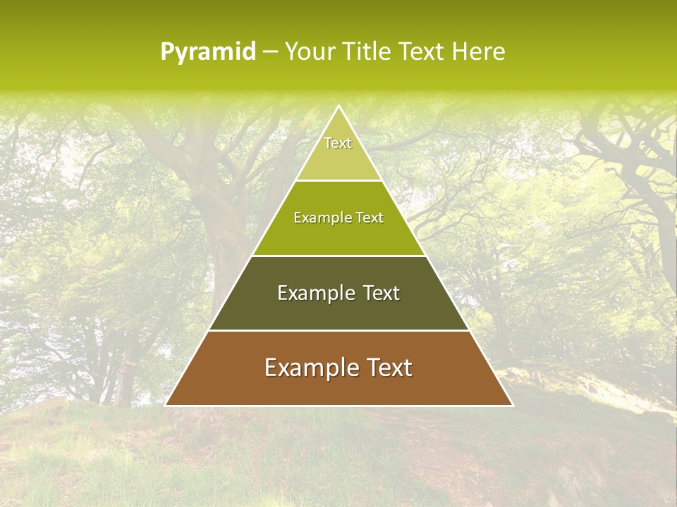 Beautiful Spring PowerPoint Template