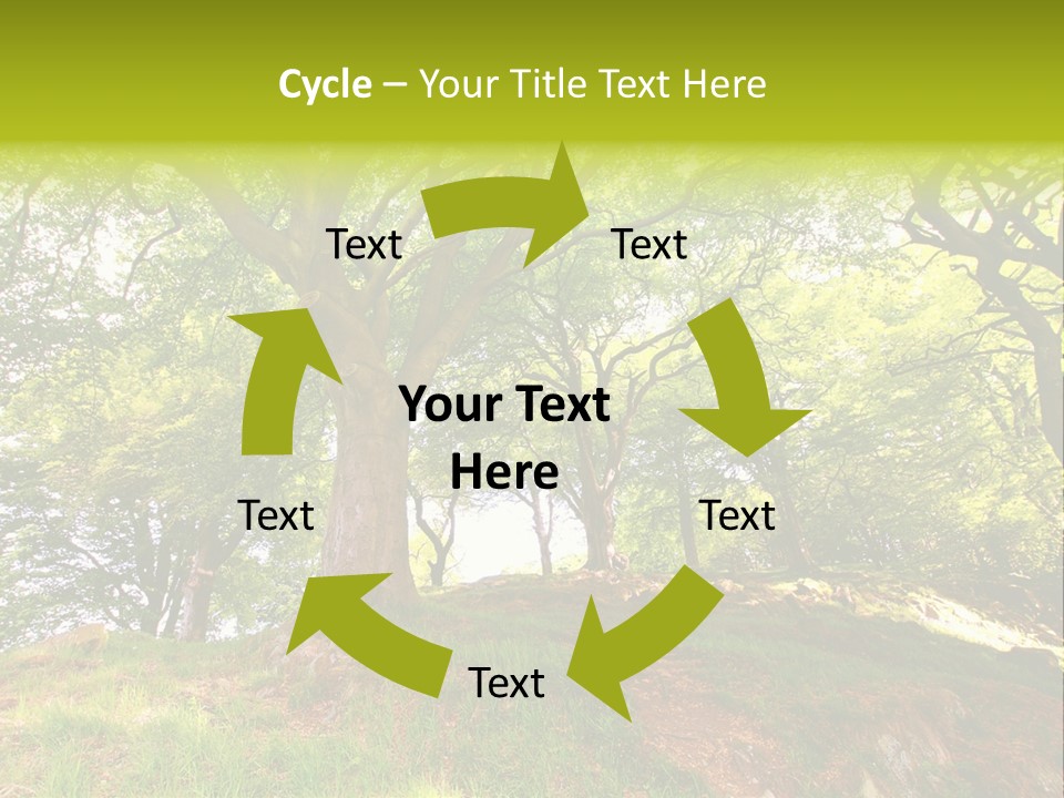 Beautiful Spring PowerPoint Template