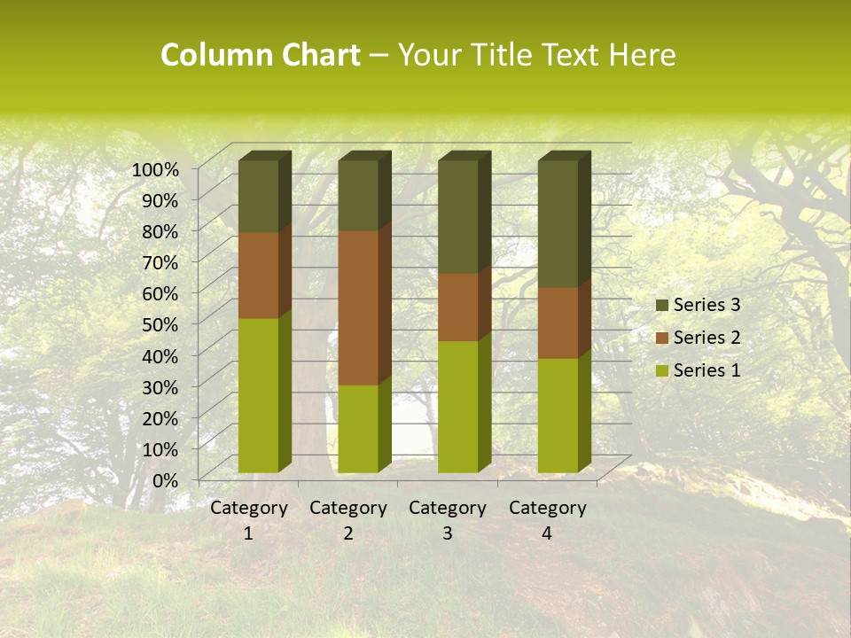 Beautiful Spring PowerPoint Template