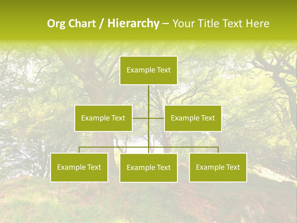 Beautiful Spring PowerPoint Template