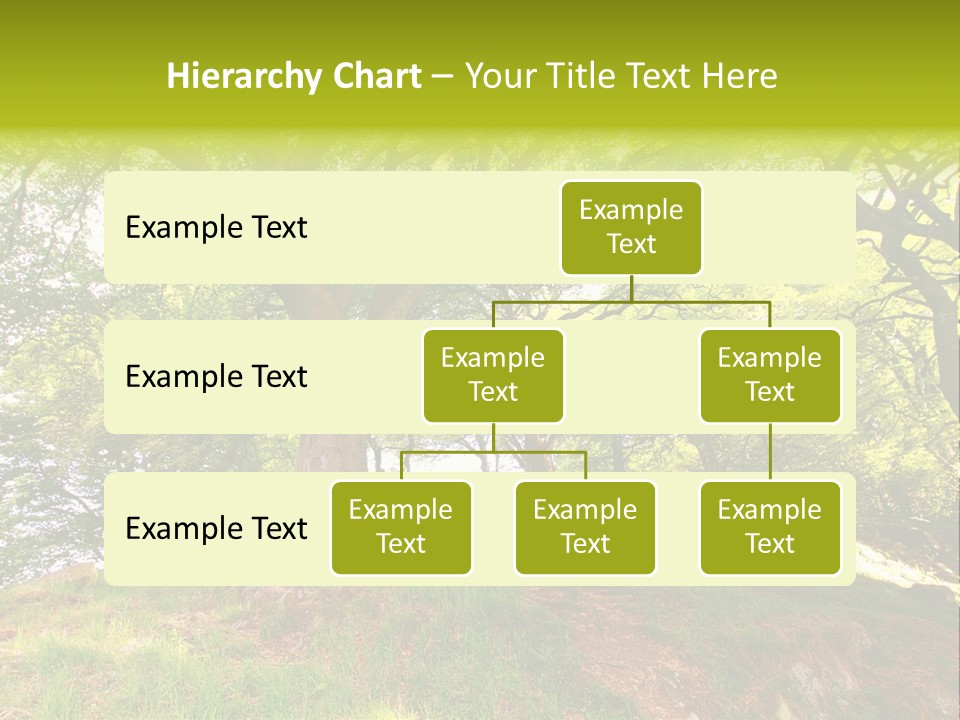 Beautiful Spring PowerPoint Template