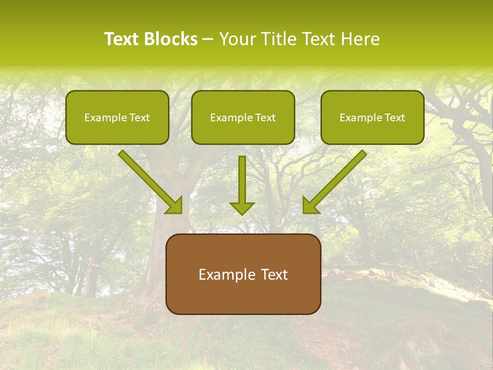 Beautiful Spring PowerPoint Template