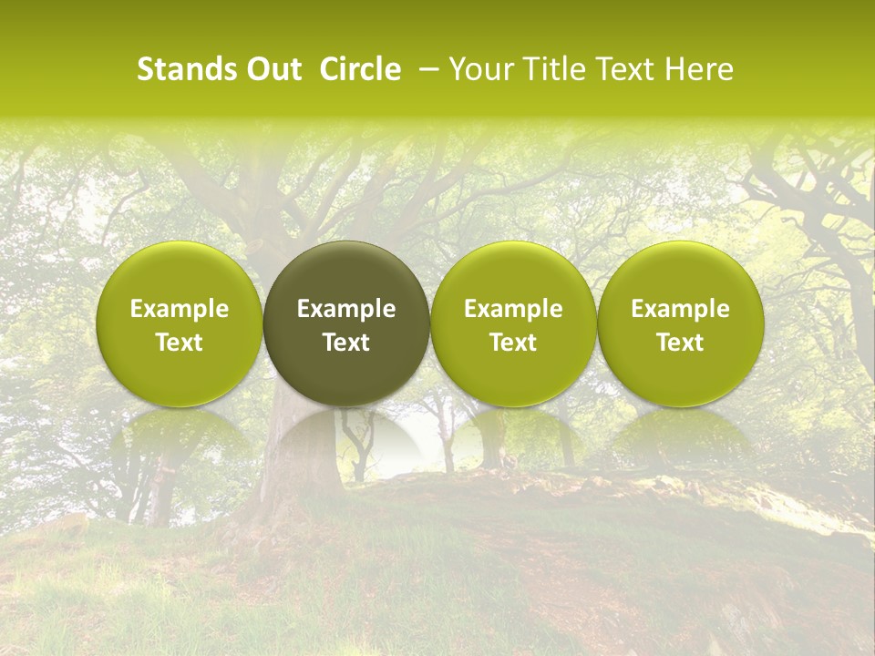 Beautiful Spring PowerPoint Template