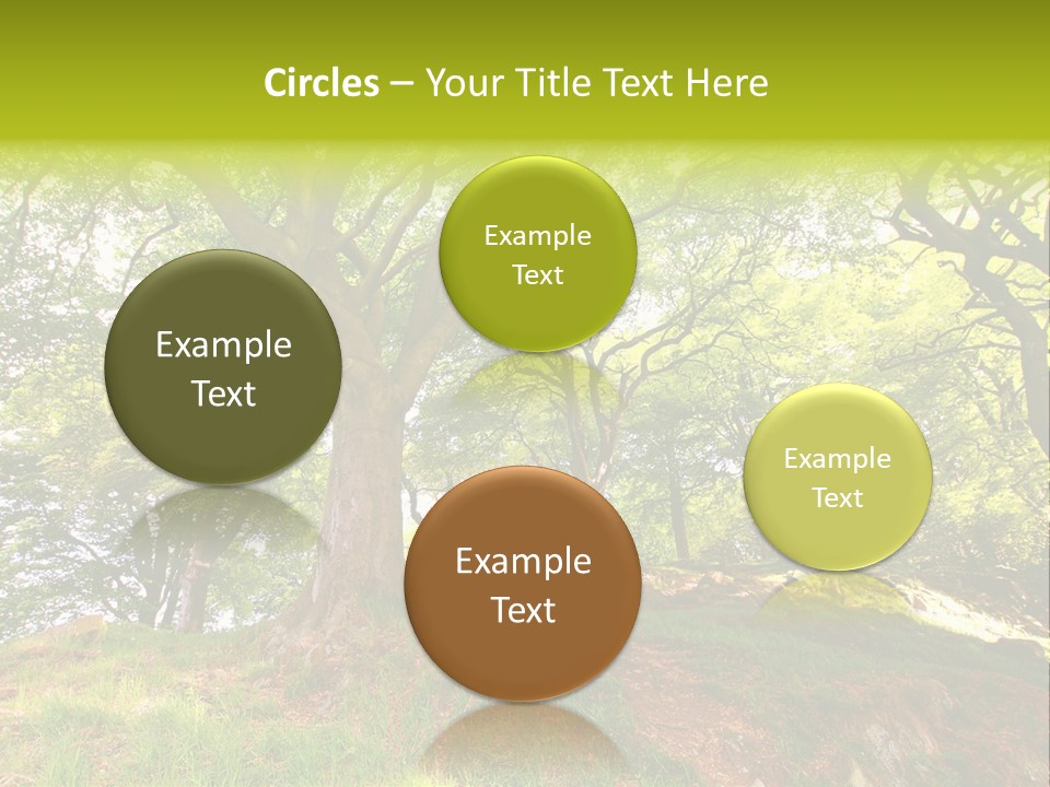 Beautiful Spring PowerPoint Template