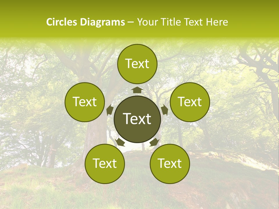 Beautiful Spring PowerPoint Template