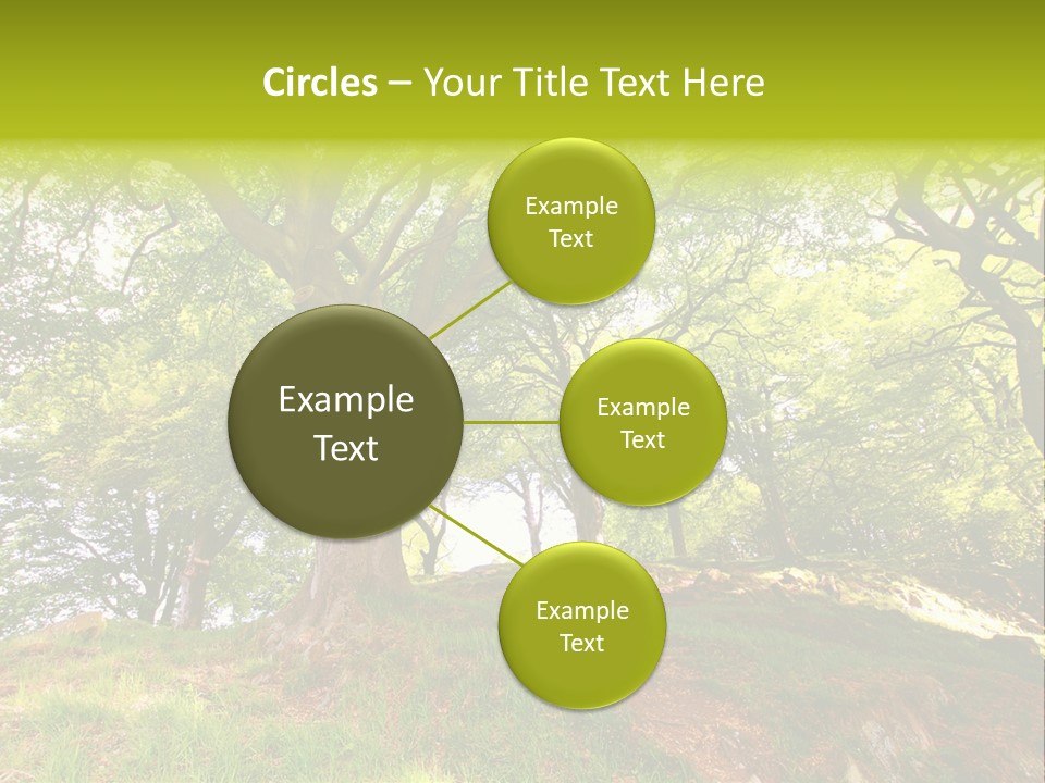 Beautiful Spring PowerPoint Template