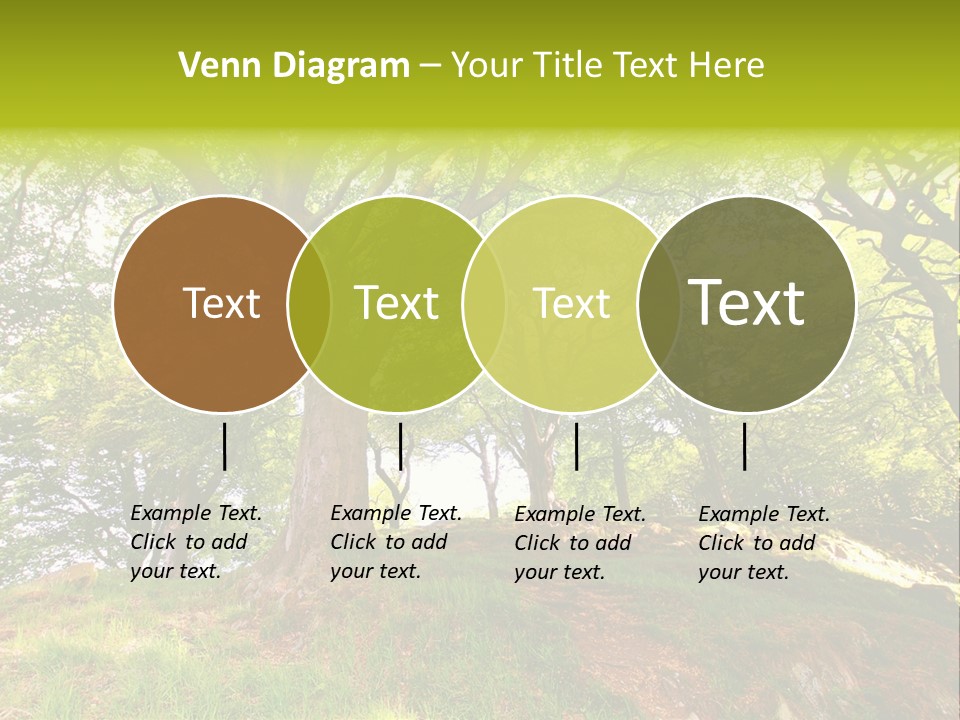 Beautiful Spring PowerPoint Template