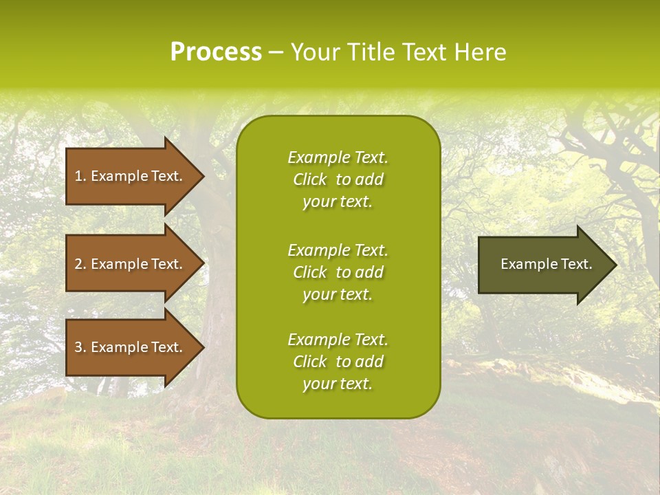 Beautiful Spring PowerPoint Template