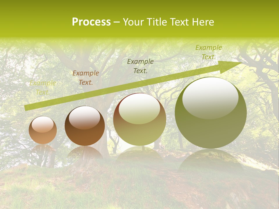 Beautiful Spring PowerPoint Template