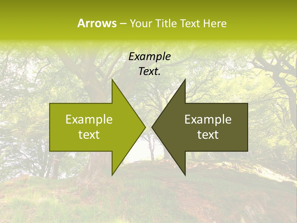 Beautiful Spring PowerPoint Template