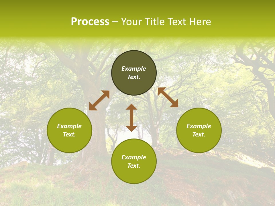 Beautiful Spring PowerPoint Template