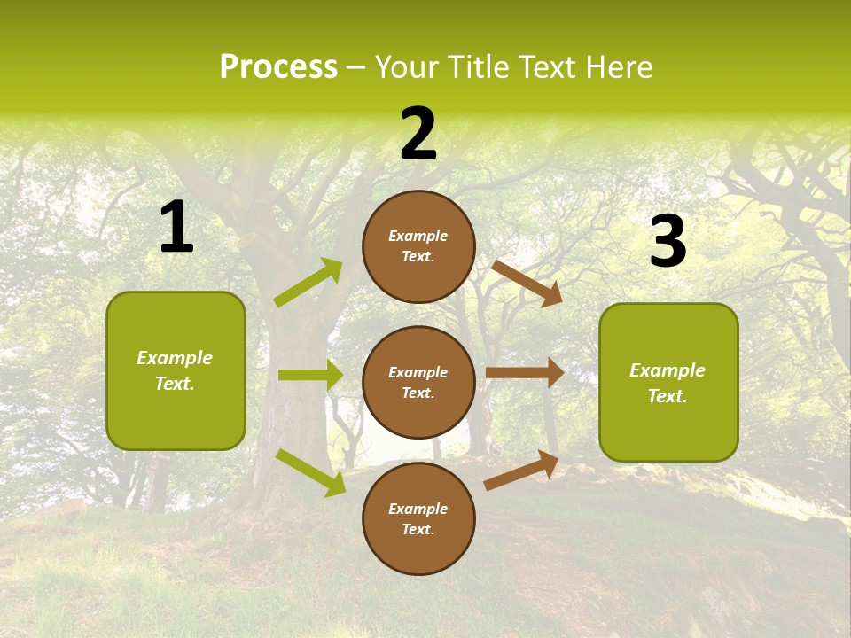 Beautiful Spring PowerPoint Template