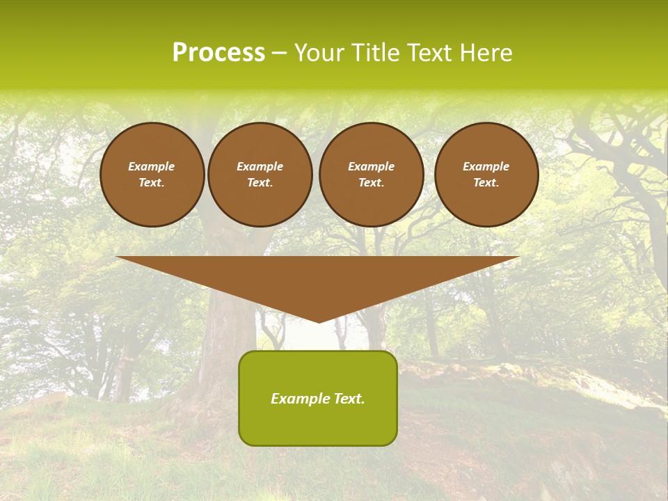 Beautiful Spring PowerPoint Template