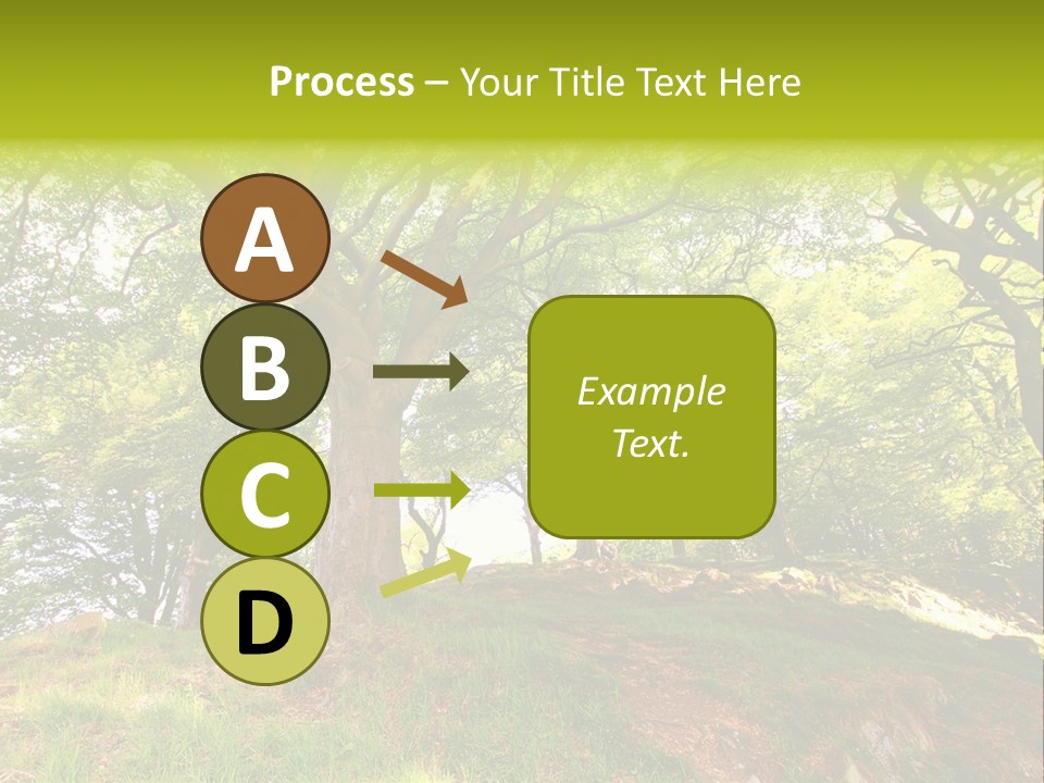 Beautiful Spring PowerPoint Template