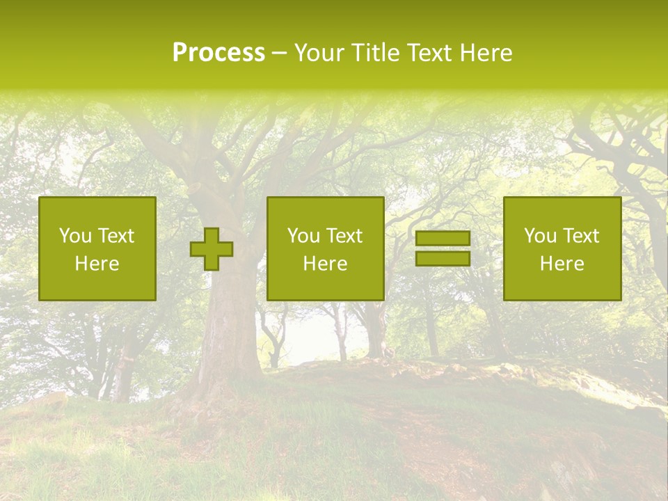 Beautiful Spring PowerPoint Template