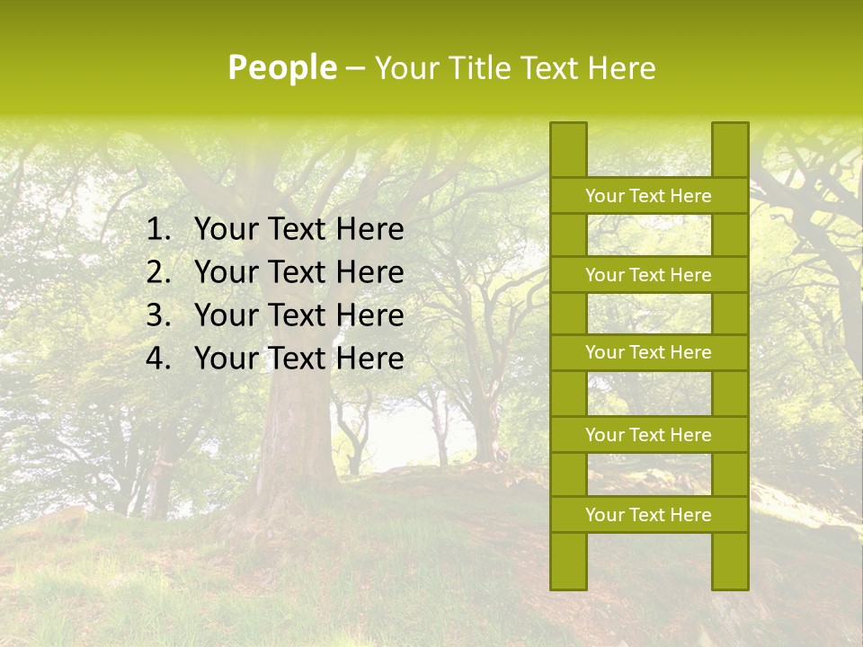 Beautiful Spring PowerPoint Template