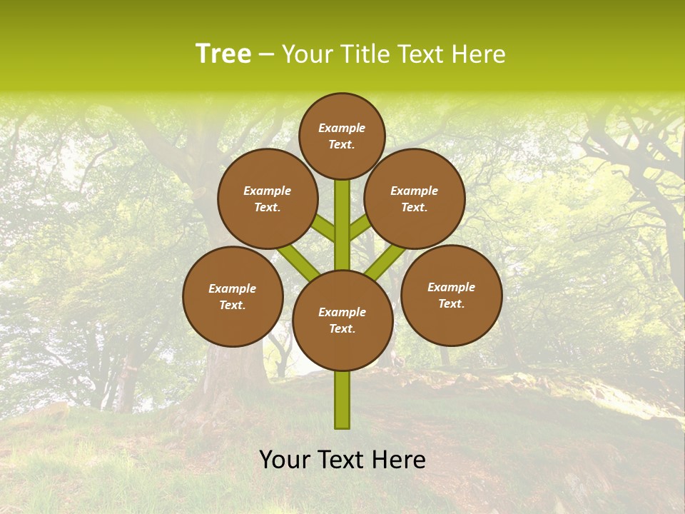 Beautiful Spring PowerPoint Template