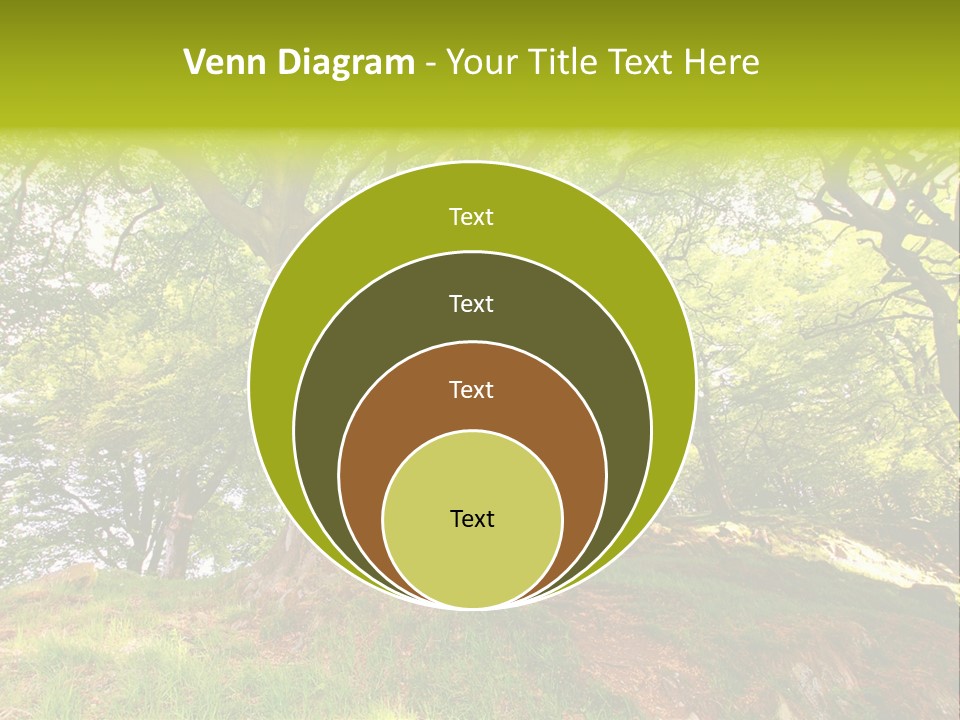 Beautiful Spring PowerPoint Template