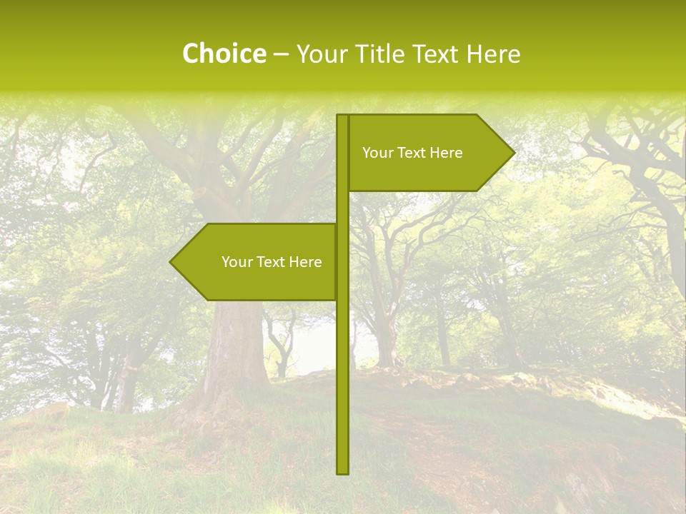 Beautiful Spring PowerPoint Template